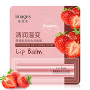 Honey Moisturizing Lip Balm